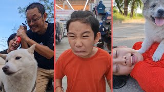 My Coolest Owner‼️ Help Me😆🥰  | JJaiPan Shorts Compilation #shorts