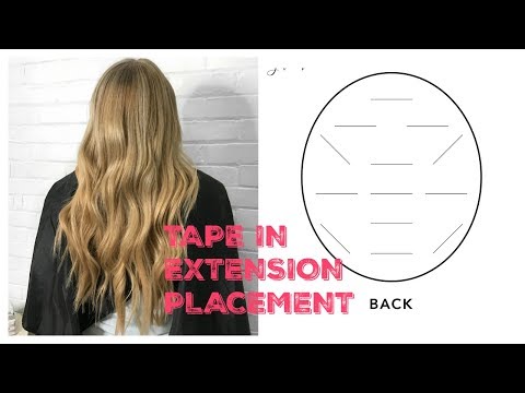 Tape In Hair Extension Chart