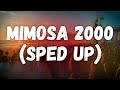 Furacão 2000 Mimosa 2000 Sped Up Letra