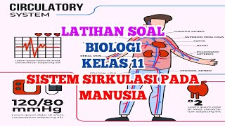 Latihan Soal Biologi Kelas 11 SISTEM SIRKULASI PADA MANUSIA Latihan Soal Biologi Kelas 11 SISTEM SIRKULASI PADA MANUSIA