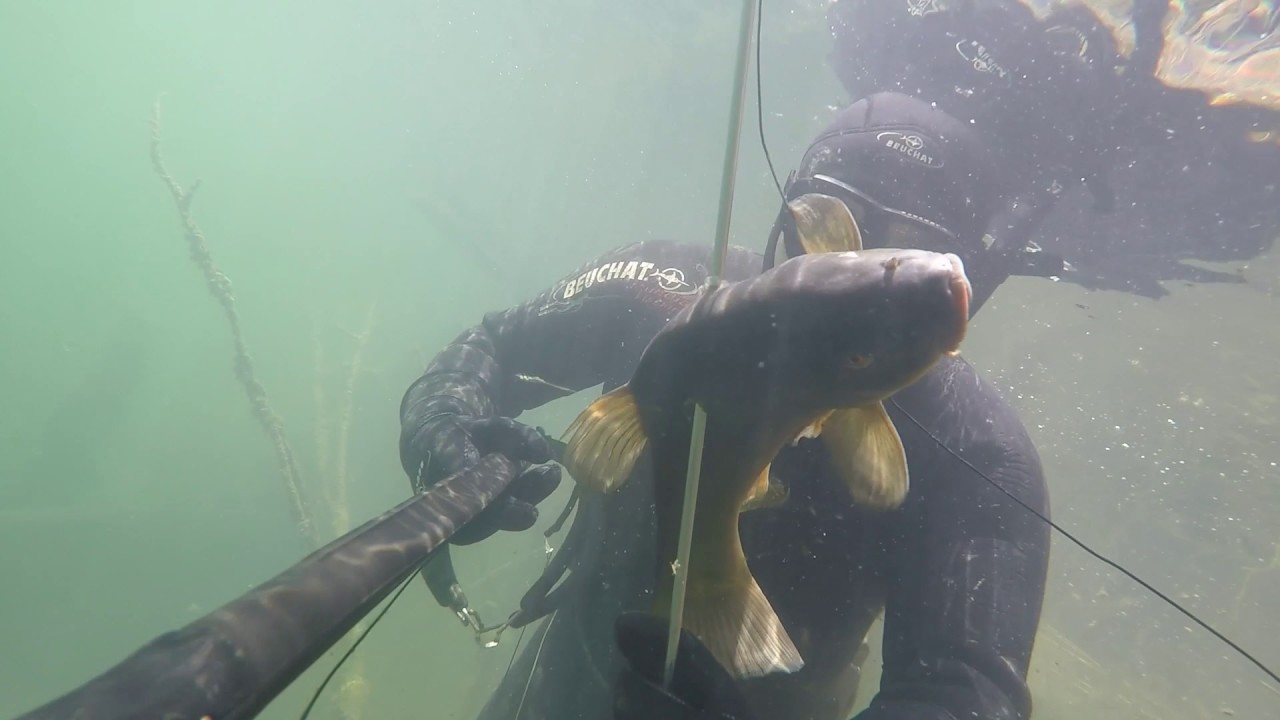 Озеро зункарь нефтекумский район Озеро зункарь нефтекумский район