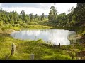 ¿Qué es un jagüey de agua? ¿Cómo se produce un jagüey de agua?