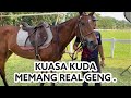 INI BARU REAL KUASA KUDA GENG .