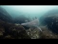 Spearfishing NY: Sandtiger Shark