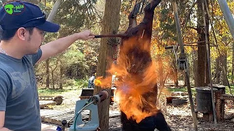 How to Clean a Wild Hog