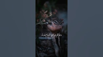 وَتَوَكَّلْ عَلَى الْحَيِّ الَّذِي لَا يَمُوتُ.. تلاوة خاشعة للشيخ إدريس ابكر 🍂💙