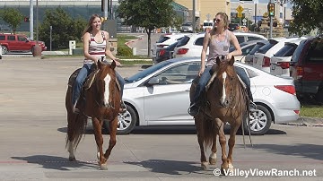 Boons Highbrow and Cougars First Lady - riding in town - ValleyViewRanch.net