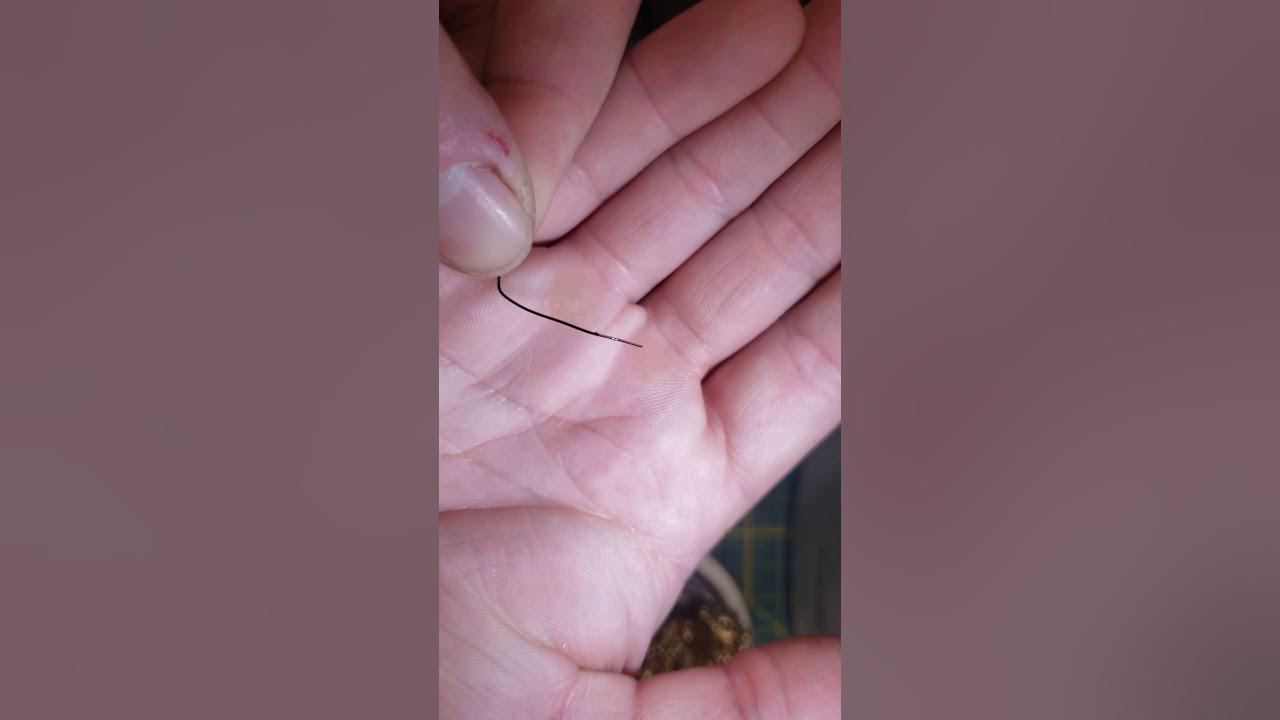 how to tin wire and solder to trd 1/4 YouTube