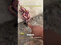 心里装着人民,就会时时刻刻为着人民。