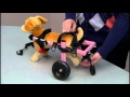 How to Adjust The Walkin' Wheels Small Dog Wheelchair