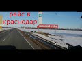 рейс в краснодар