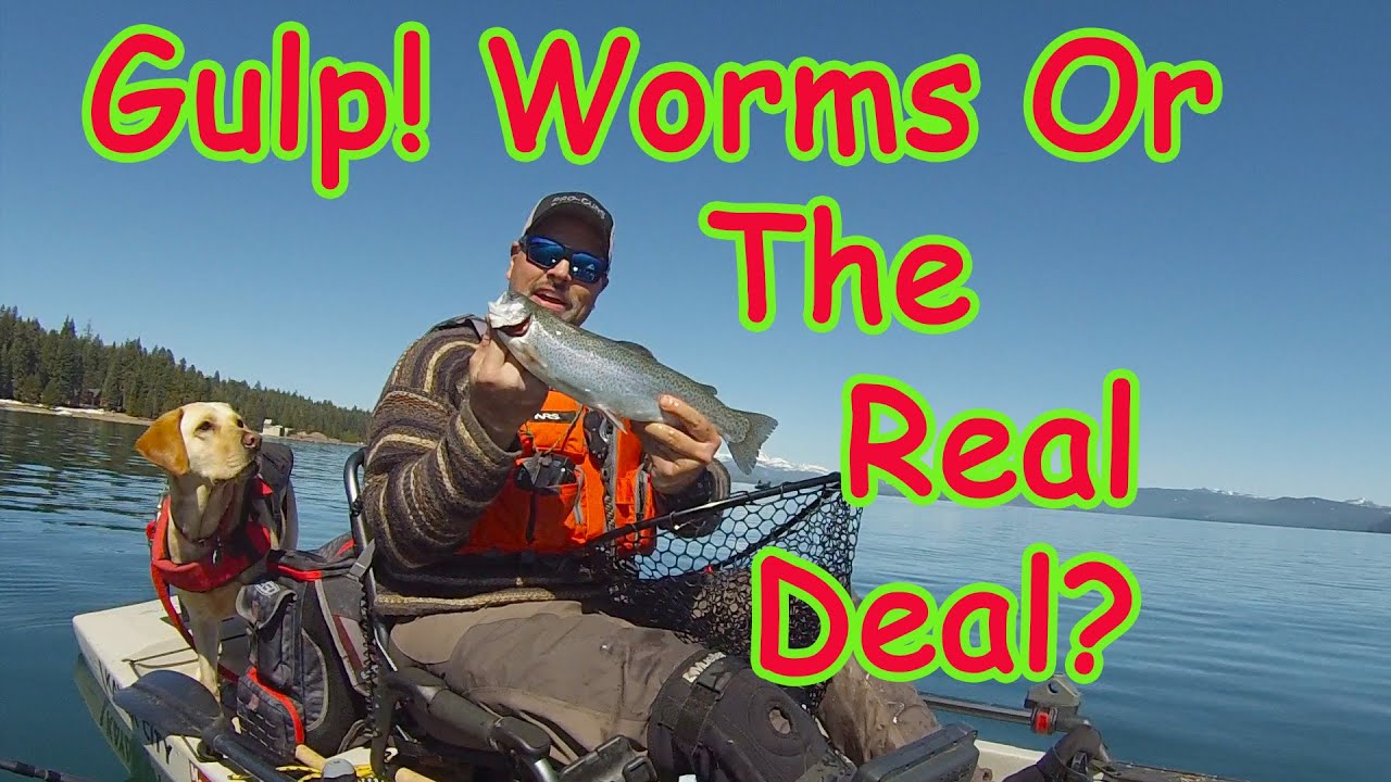 How To Troll Gulp Worms For Trout The Right Way! 