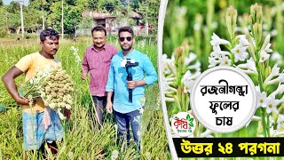 রজনীগন্ধা ফুল চাষে লাখ টাকার বাণিজ্য। tuberose farming in kolkata