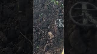 Шмурдяк забираем с собой #металлоискатель #коп #поискклада #поискмонет