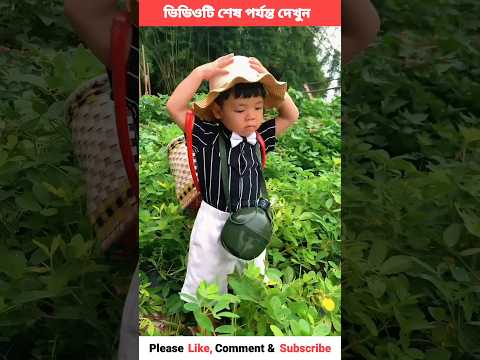 ছটু আসলো বাদাম তুলার জন্য 🥜😱 chinese funny video #shorts #viral #trending #funny