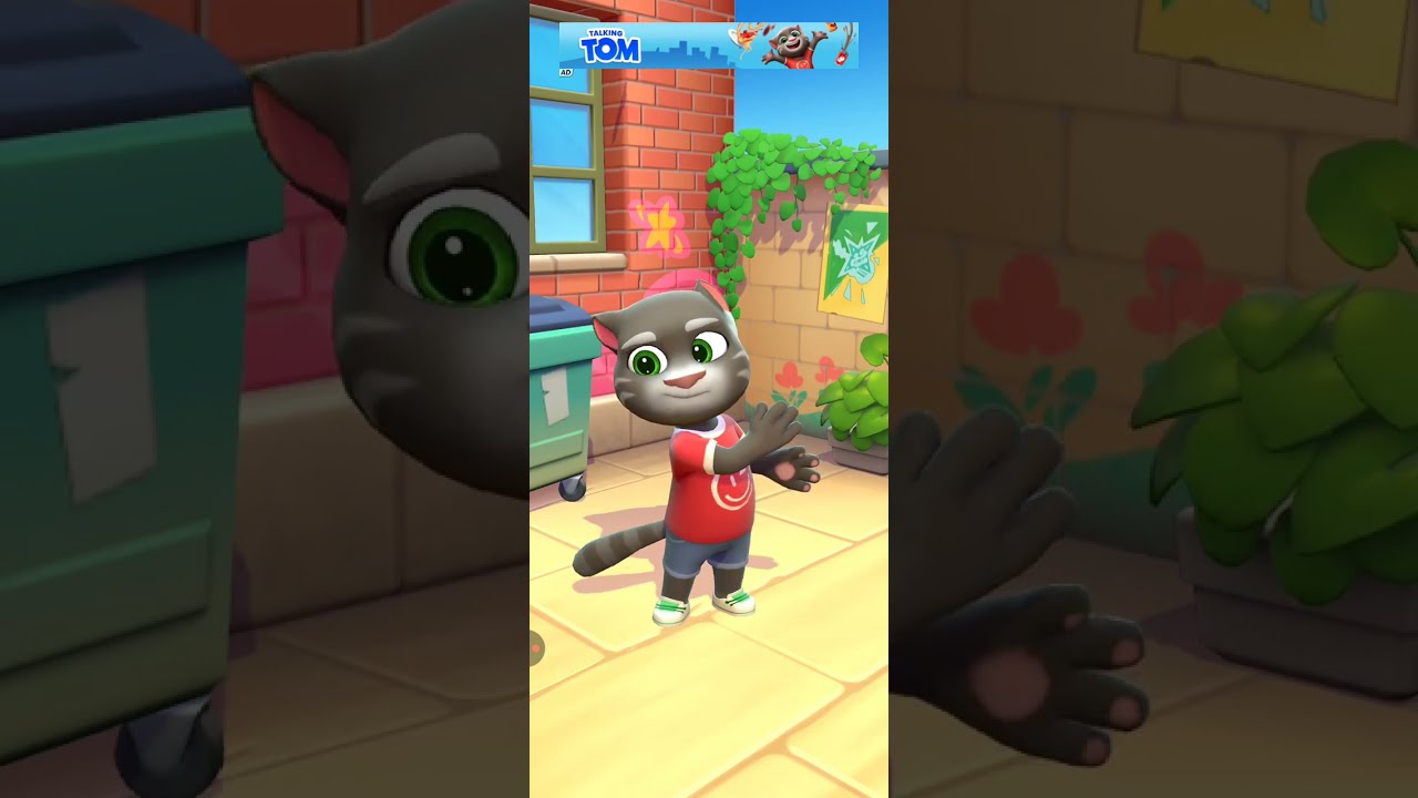 New tom com to home 🏡 