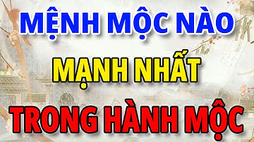 PHONG THỦY NGŨ HÀNH: MỆNH MỘC NÀO MẠNH NHẤT TRONG HÀNH MỘC.