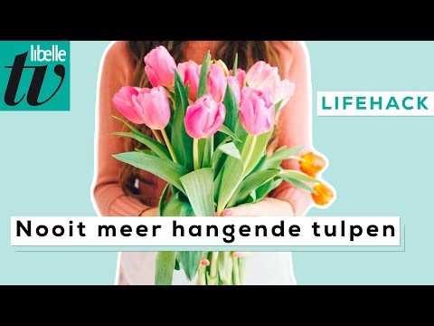 Video: Waarom gaan tulpen open en dicht?