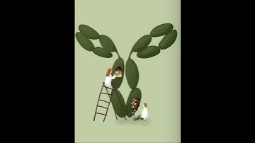 PhD Thesis Design - Cover Illustration - Dr. van Gool