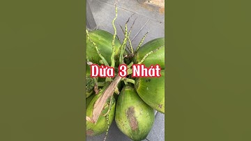 Dừa 3 Nhát - Cách Chặt Dừa Nhanh Nhất | Bolong_garden | The Fastest Way To Cut Coconut #shorts #tips