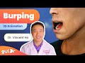 What Happens During Burping? | 3D Animation