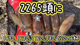 ヤエン釣り】2026年5月9日高知県須崎市池ノ浦沖磯 2265頭に1690、1290
