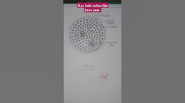 volvox B.sc 1st semester diagram in botany # in English # please # vol vox # manorma-j8a #in youtube
