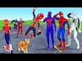 TEAM SPIDER-MAN VS Bad Guy Joker Venom Hulk - Challenge Rescue Baby Spiderman save spider cat