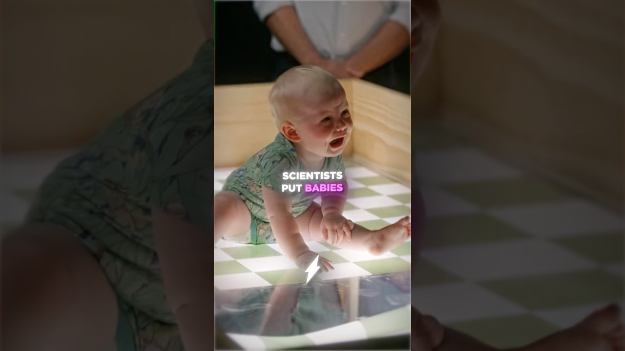 Scientists Tried To Trick Babies…😳🧠