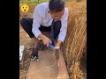 पढ़ा लिखा आदमी खेत कैसे कटता हैं 😂