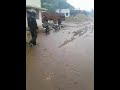 Heavy Rainfall At Banswara | 2 |