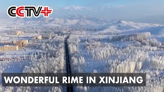 Soft Rime Comes into View in Multiple Places of Xinjiang screenshot 3