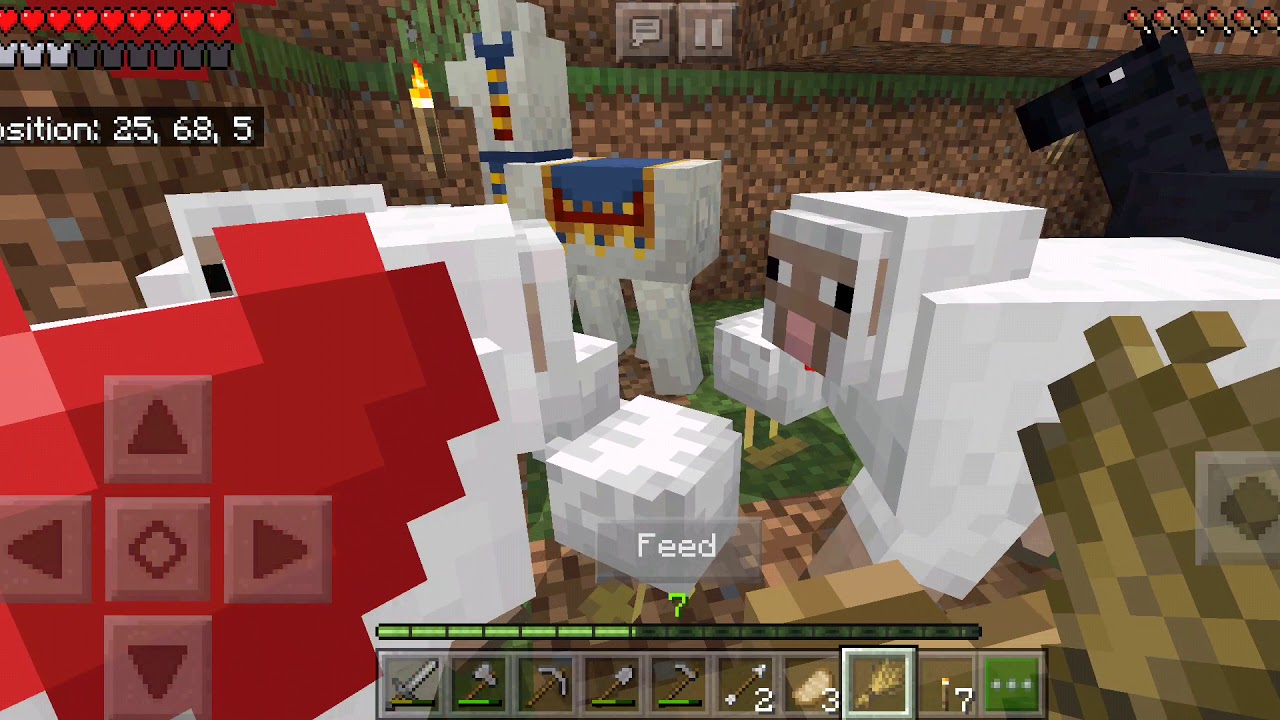 Minecraft survival series episode 5 - YouTube