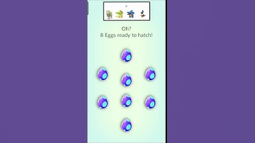 Hatch Special Event eggs for shiny Pokémon #shorts #shiny #hatch #special #event #ultragoo #eggs