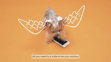 Go paperless with PAX A50 Android Mobile device