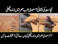 Fish Found In Saudi Desert  | Fish In Desert Viral Video Saudi Arabia | Urdu Cover