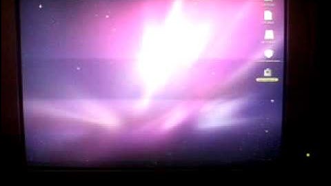 Snow Leopard by Hazard