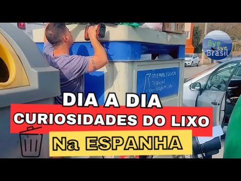 Curiosidades do Dia