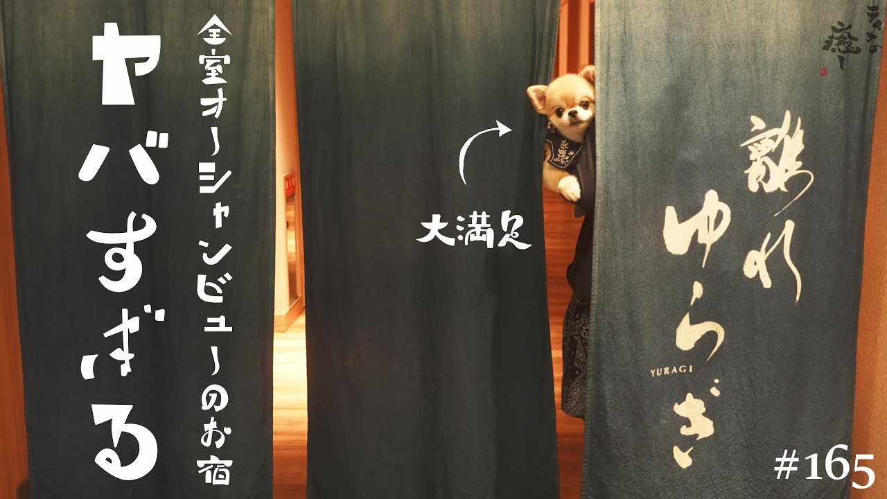 【犬旅行】「みかわ温泉 海遊亭 離れ ゆらぎ」さんのルームツアー♪マジで最高すぎましたッ!!【オーシャンビュー】