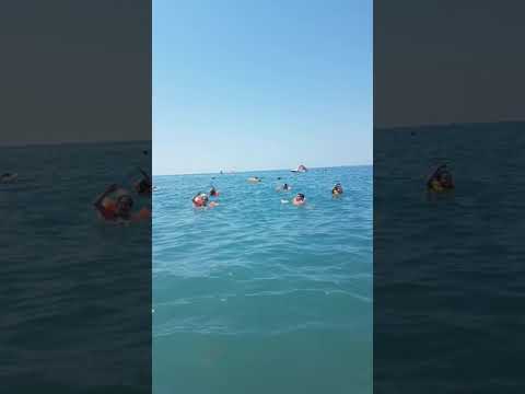 Море нальчика