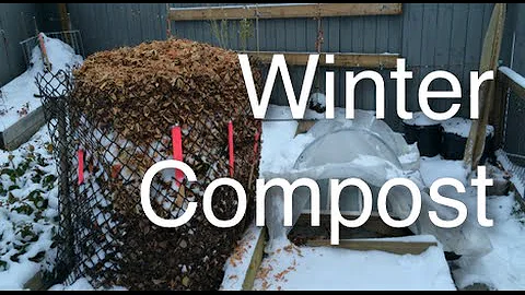 Freezing Cold Leaf Based Winter Compost