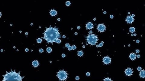 Movement Of Virus Cells Stock Motion Graphics
