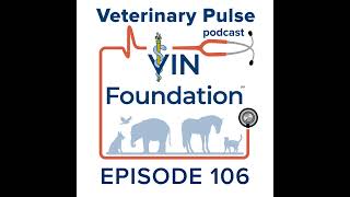 Veterinary school application strategies with Kamira Patel