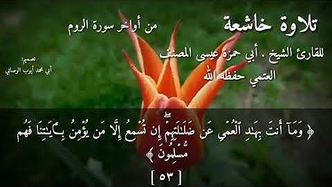 تلاوة خاشعة من أواخر سورة الروم للقارئ الشيخ أبي حمزة عيسى المصنف العتمي حفظه الله تعالى
