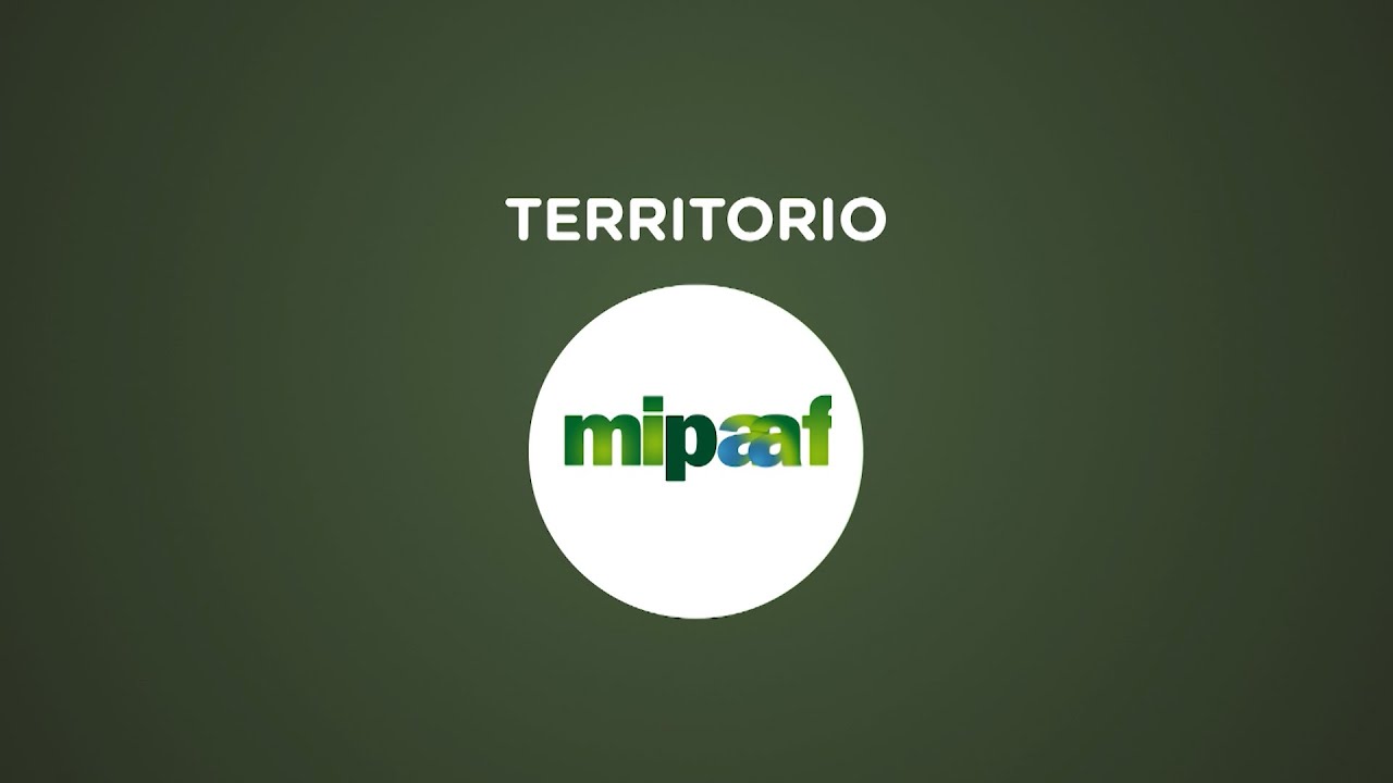 A TANCA REGIA, FRA STORIA E TRADIZIONE EQUESTRE