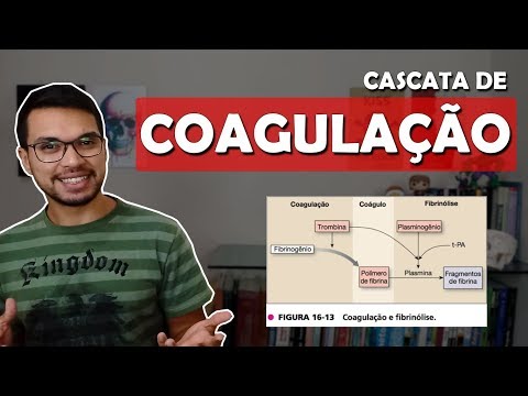 Vídeo: Fatores de coagulação