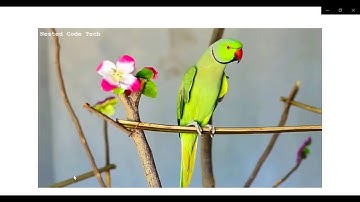 Python Pillow- creating watermark in the image