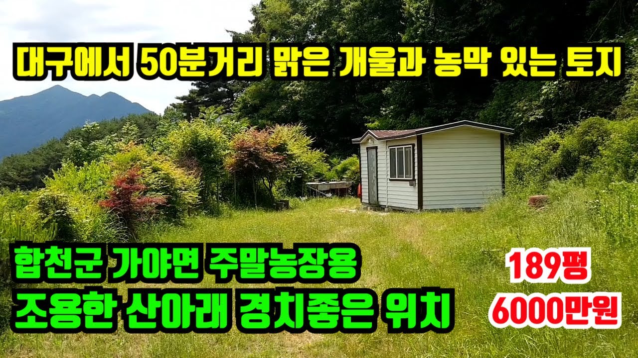 [열대어로 힐링하기] 50종의 열대어를 보며