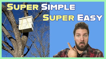 Easy Swarm Trap Tree Setup for Honeybees | Rope Hanging Method for Catching Spring Swarms