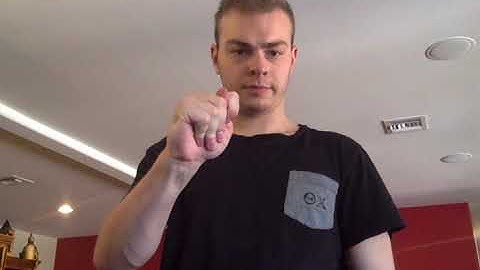 Lesson 8 expressive midterm